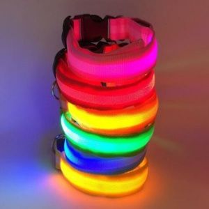 Pet Adjustable Dog Collar Light Up LED Sizes S-XL